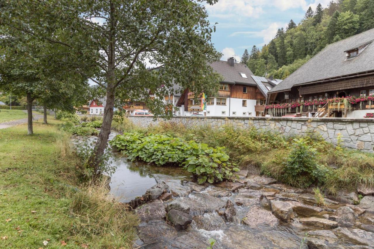 Am Wehrastrand App 2 Todtmoos Exteriör bild